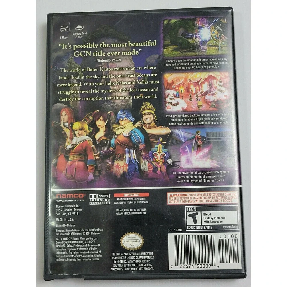 Nintendo game case